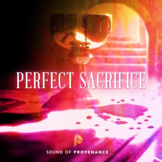 Perfect Sacrifice lyrics | Boomplay Music