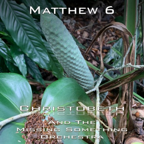 Matthew 6 | Boomplay Music