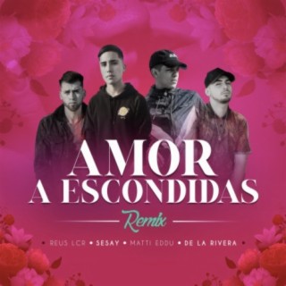 Amor a Escondidas - Remix