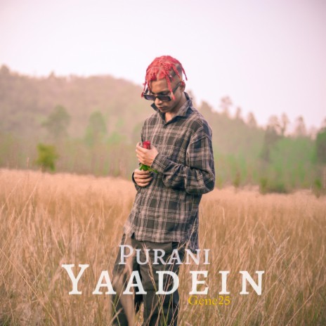 Purani Yaadein | Boomplay Music