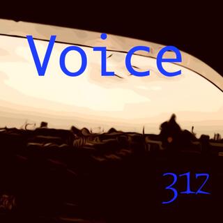 Voice