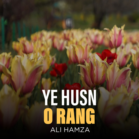 Ye Husn o Rang | Boomplay Music