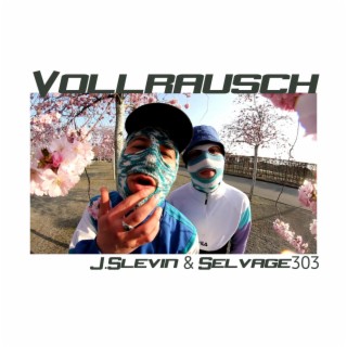 Vollrausch