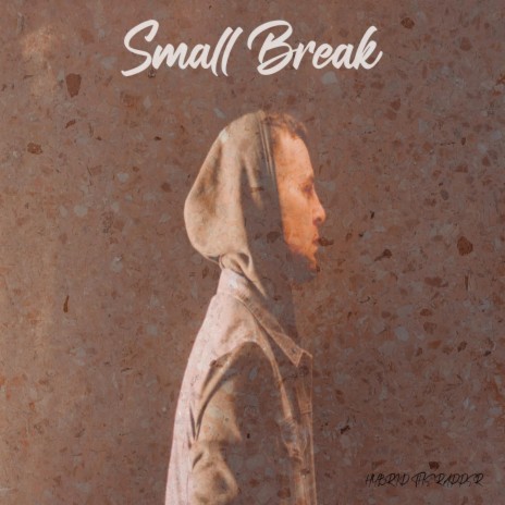 Small Break | Boomplay Music