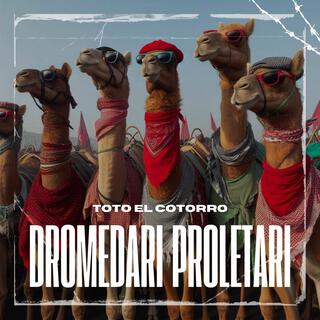 Dromedari Proletari