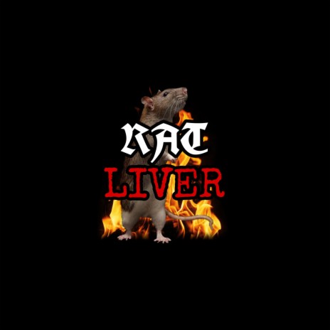 RAT LIVER (Better than the Beatles) | Boomplay Music