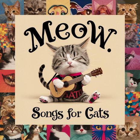 Mystery Meow (Song for Cats) | Boomplay Music