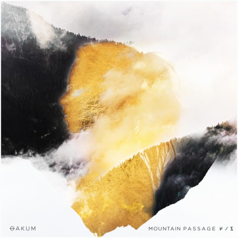 Mountain Passage (VIP) | Boomplay Music