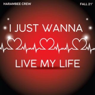 I Just Wanna Live My Life (Live)