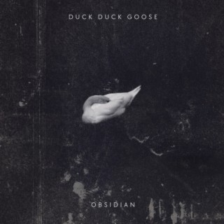 Duck Duck Goose lyrics | Boomplay Music
