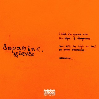 Dopamine Fiends lyrics | Boomplay Music