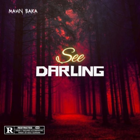 See Darling | Boomplay Music