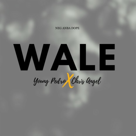 Wale (feat. Chris Angel) | Boomplay Music