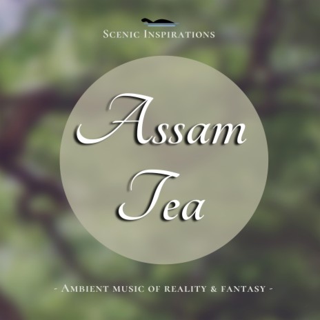 Assam Tea | Boomplay Music