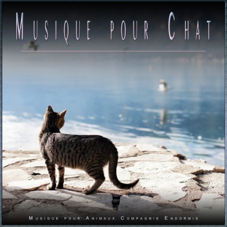 La musique du chat parfait ft. Musique pour Chats & Musique Relaxante pour Chats | Boomplay Music