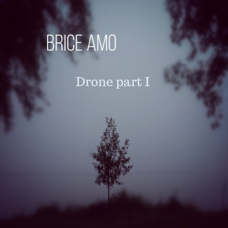Drone I (Original) ft. Dominique DALLON & Julien COSTA | Boomplay Music