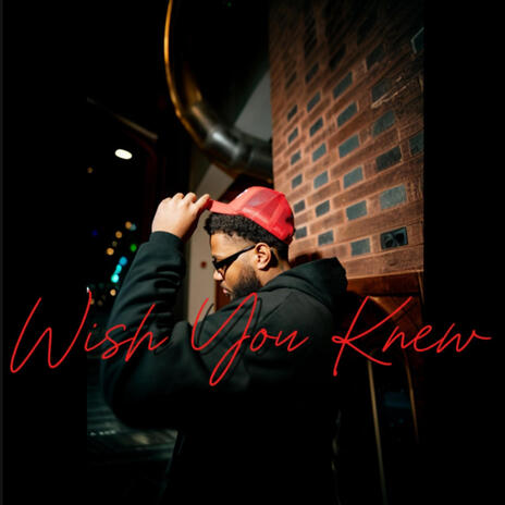 Wish you knew | Boomplay Music