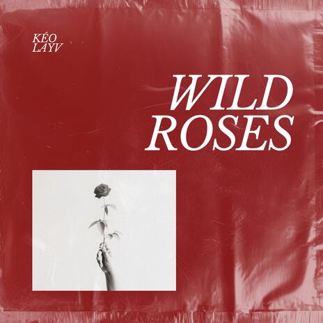 Wild Roses ft. Layv | Boomplay Music