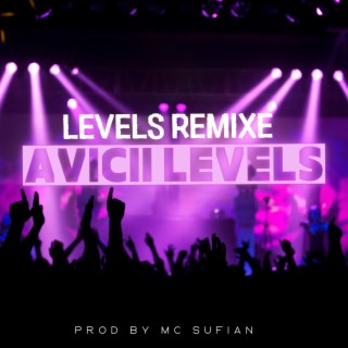 levels (remix)