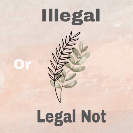 Illegal or Legal Not | Boomplay Music
