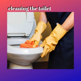 Cleaning The Toilet (Deluxe)
