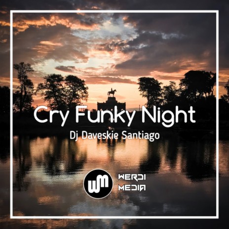 Cry Funky Night | Boomplay Music