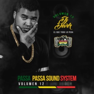 Passa Passa Sound System, Vol. 12 (El Que Todo lo Pega)