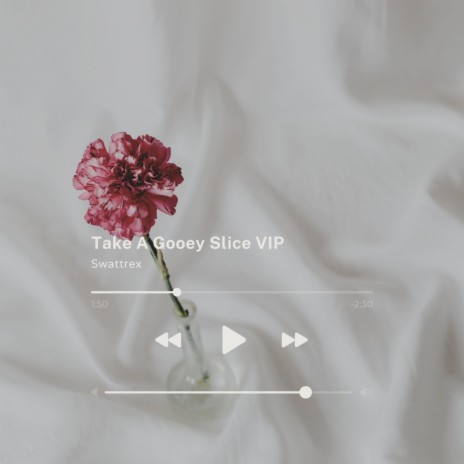 I Dont Wanna Talk , I Just Wanna Dance VIP | Boomplay Music