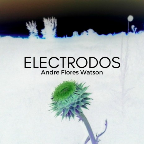 Electrodos