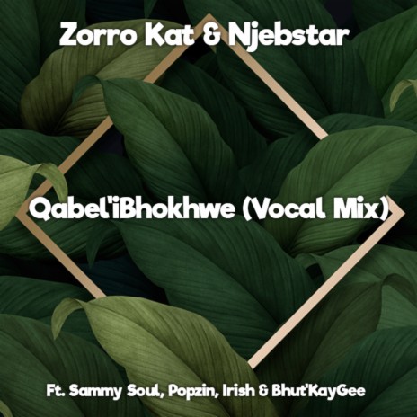 Qabel'iBhokhwe (Vocal Mix) ft. Njebstar, Bhut'KayGee, Irish, Sammy Soul & Popzin | Boomplay Music