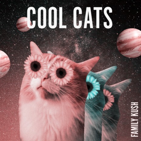 Cool Cats | Boomplay Music