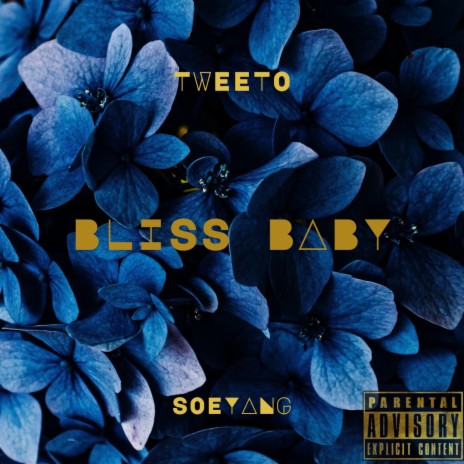 Bliss Baby ft. Soeyang