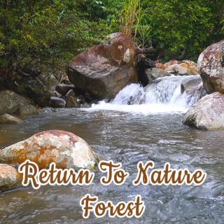 Return To Nature Forest