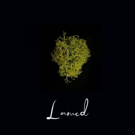 Lamed | Boomplay Music