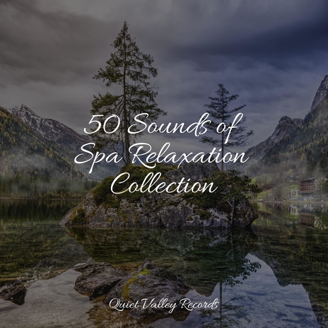 Massage Therapy ft. Nature Sounds for Relaxation and Sleep & Spa Relaxation | Boomplay Music