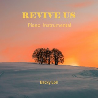 Revive Us (Instrumental Worship)