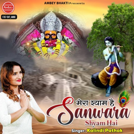 Mera Shyam Hai Sanwara Shyam Hai | Boomplay Music