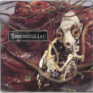 Somnambulist