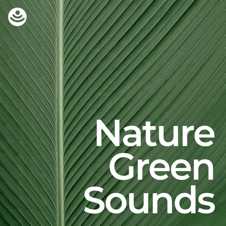 Soothing Green Nature Soundscapes (No Fade, Loopable) ft. Sounds of Nature for Deep Sleep and Relaxation & Nature Sounds for Relaxation and Sleep | Boomplay Music