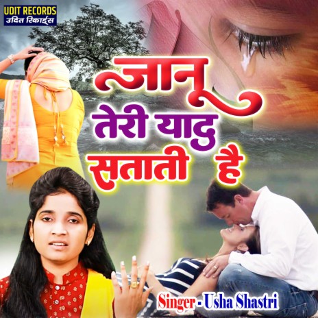 Janu Teri Yaad Satati Hai | Boomplay Music