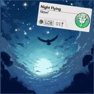 Night Flying