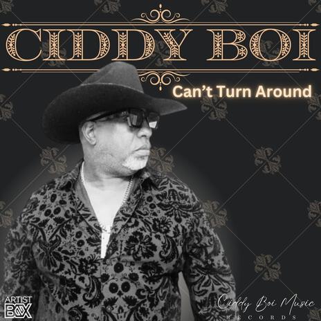 Can't Turn Around | Boomplay Music