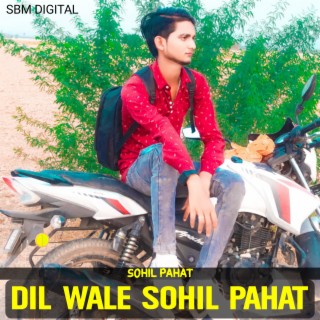 Dil Wale Sohil Pahat