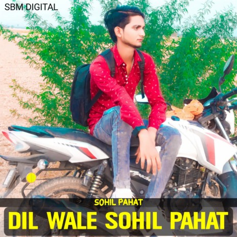 Dil Wale Sohil Pahat | Boomplay Music