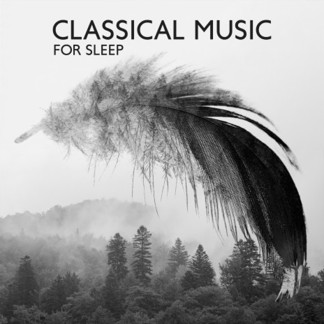 Classical Piano Chillout | Boomplay Music