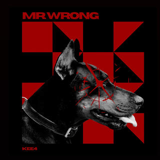 MR.WRONG