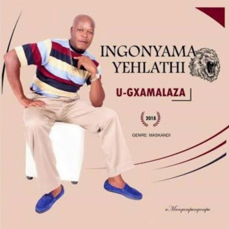 Ayihlome nduna | Boomplay Music