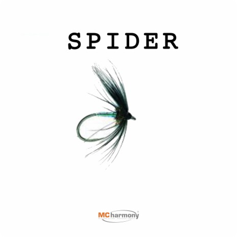 Spider | Boomplay Music