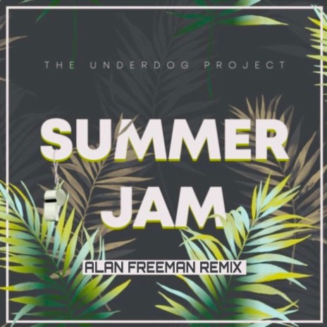 Summer jam (Alan Freeman Remix) | Boomplay Music