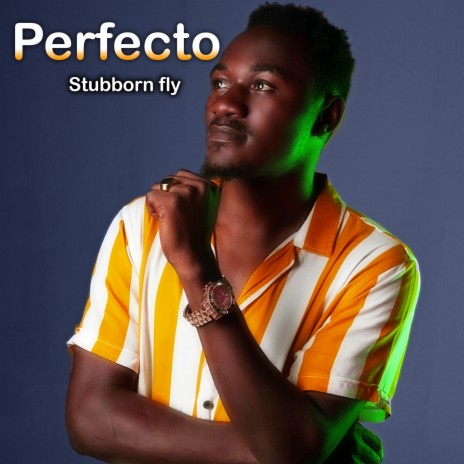 Stubborn fly | Boomplay Music